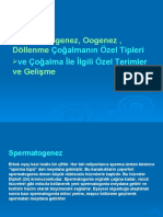 7.spermatogenez, Oogenez, Döllenme Çoğalmanın Özel Tipleri