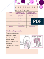 Rticulaciones de L A Cabeza: Descenso