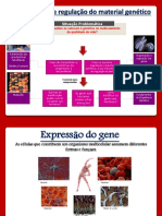 6_Regulação da expressão genética (1)
