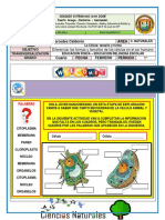 4°ciencias Naturales