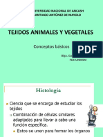 t4 Ingamb Tejidos Animales y Vegetales
