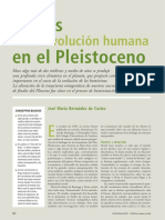 Evolucion Humana en El Pleistoceno