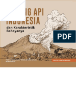 Buku Gunung Api Indonesia