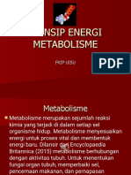 Prinsip Energi Metabolisme