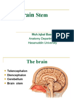 The Brain: Muh - Iqbal Basri