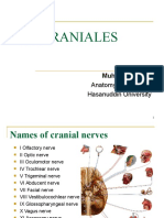 Nn. Craniales: Anatomy Department Hasanuddin University