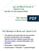 The Meninges and Blood Vessels of Brain and Spinal Cord, and The Cerebrospinal Fluid