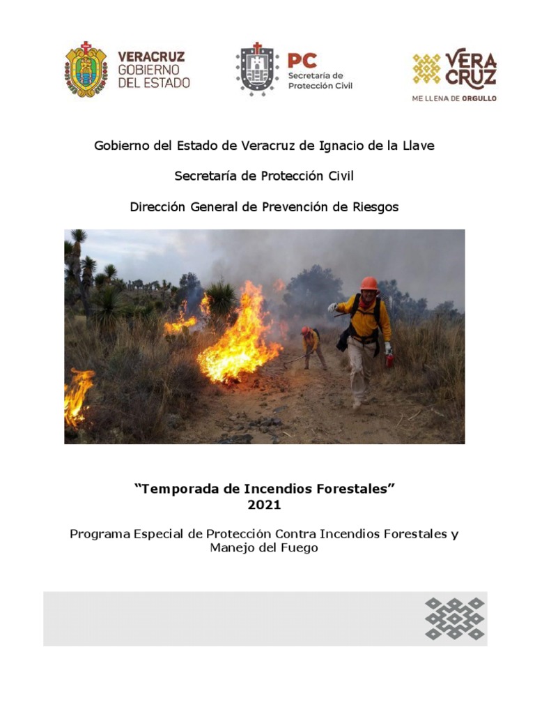 Programa de Protección contra Incendios 2021 | PDF | Fuego fatuo ...