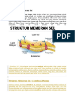 Pengertian Membran Sel