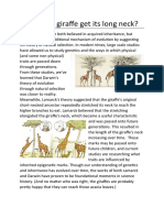 Infographic Summary Giraffe Biology - Jimmy-9A-12