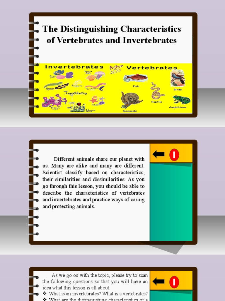Science 6 - Q2 - L7 - The Distinguishing Characteristics of Vertebrates and  Invertebrates | PDF | Invertebrate | Mammals