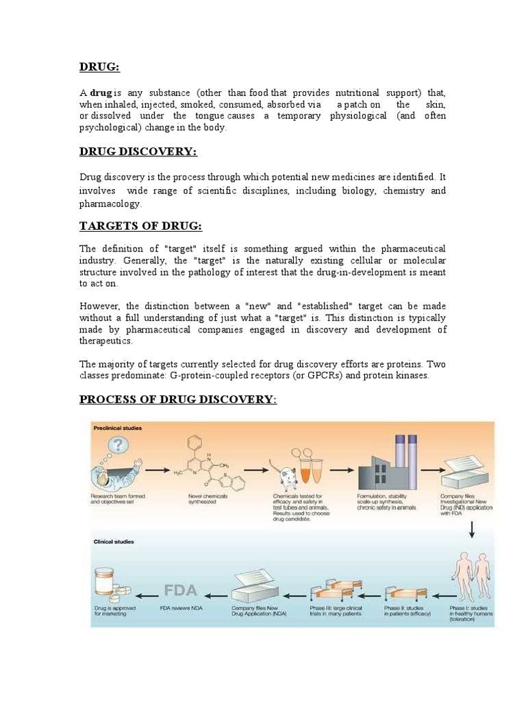 Drug Discovery Workshop Report | PDF | Drug Design | Drug Discovery