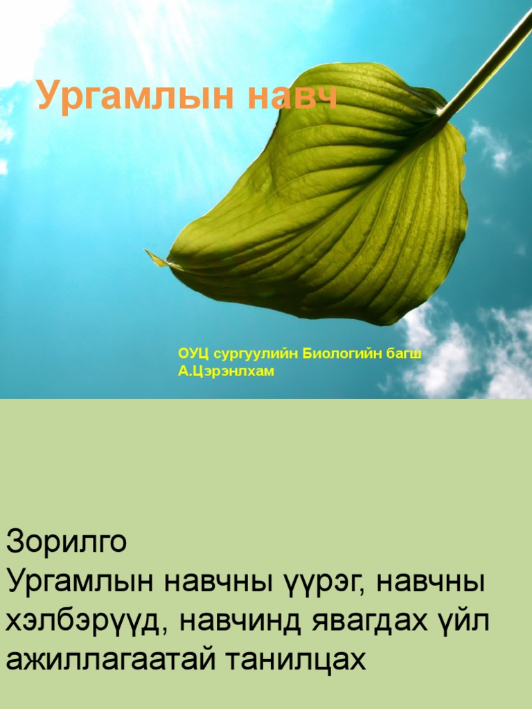 Ургамлын навч | PDF