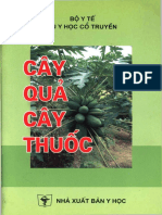 Cay Qua Cay Thuoc