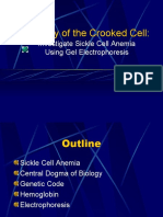Mystery of The Crooked Cell:: Investigate Sickle Cell Anemia Using Gel Electrophoresis