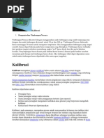 Download Kalibrasi by Cumabuat Temendibeteha SN49928200 doc pdf