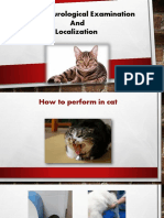 Feline Neurological Exam