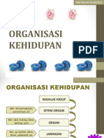 Organisasi-Kehidupan