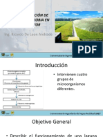 Transformación de Laguna Anaerobia en Biodigestor PDF