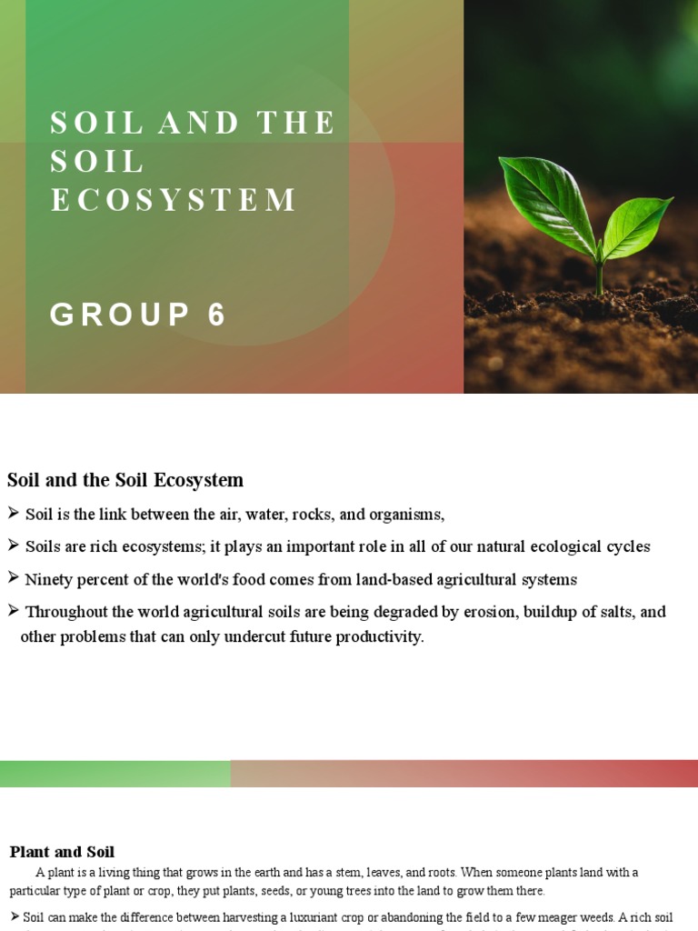 Soil And The Soil Ecosystem Pdf Soil Ph