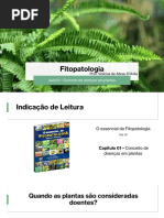 Aula 01 - Conceito de Doenças em Plantas