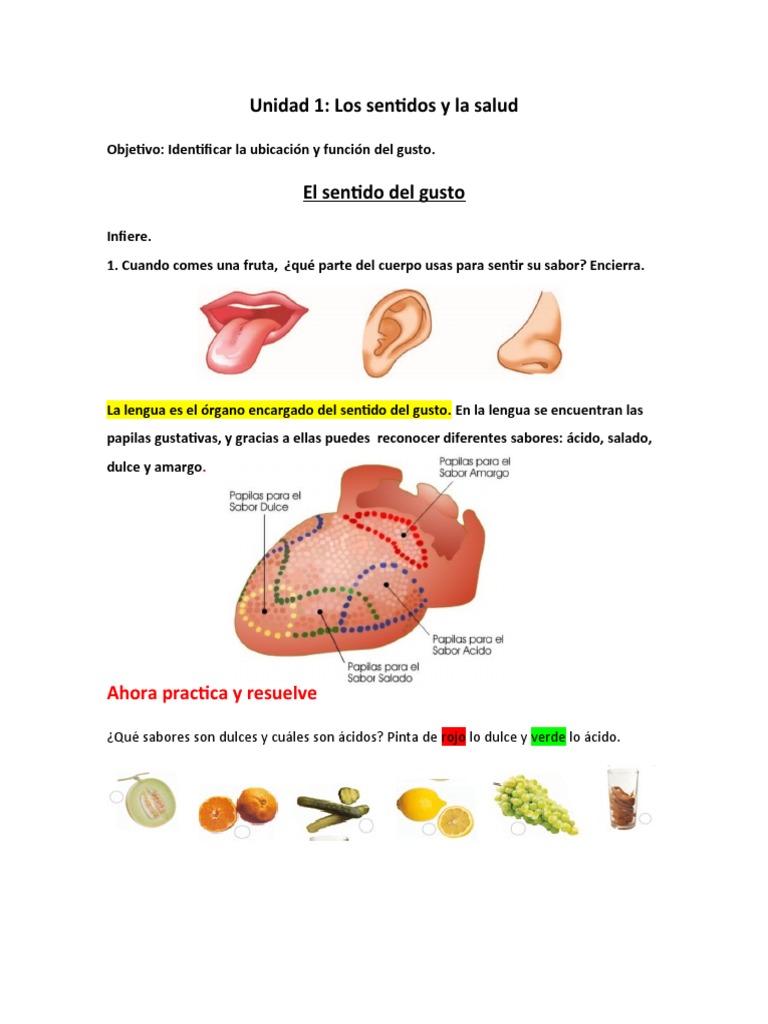 1 Los Sentidos Pdf Sabor Gusto