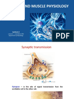 Synapse and Muscle Physiology: Lecturer - I. Savinkova, PHD Department of Physiology