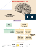 CNS Physiology Lecture on Nervous System Organization