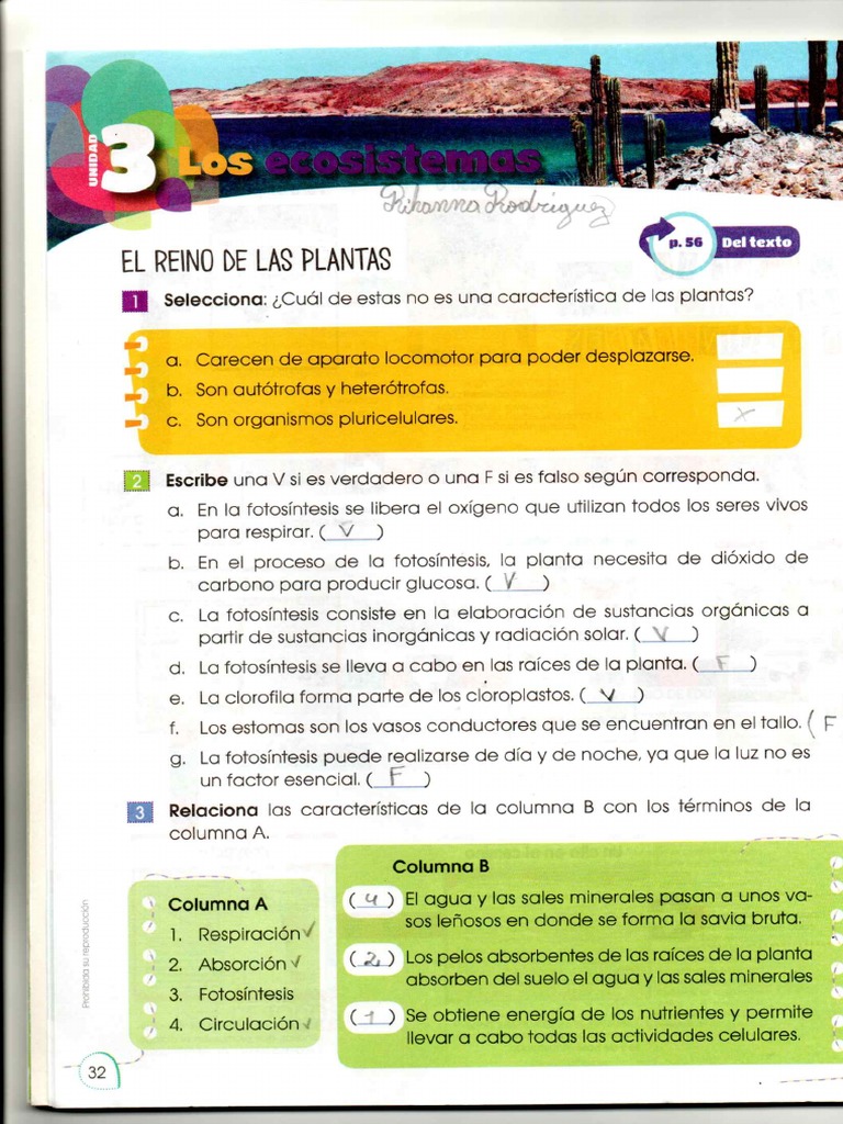0032 | PDF
