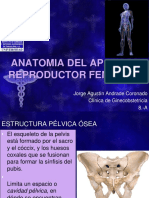 anatomiadelaparatoreproductorfemenino-160210061919