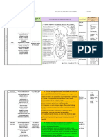 Semana 10 Cuarto Grado