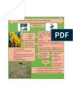 Infografia Biologia Vegetal