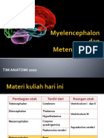 Myelencephalon Dan Metencephalon