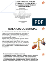 Balanza Comercialfinal