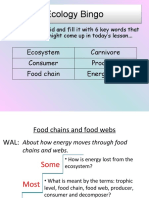 Ecology Bingo: Ecosystem Carnivore Consumer Producer Food Chain Energy Flow