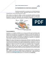 Mecanismos de Transmisión de Un Motor de Arranque