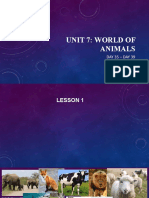 Unit 7: World of Animals: DAY 35 - DAY 39