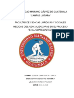 ENSAYO 2 Clinica Procesal Penal PDF