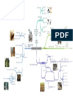 Mapa Mental Sociologia Rural en La Agronomia