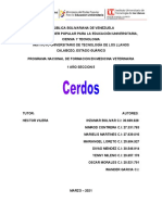 Cerdos-Trabajo Ihza Bolivar