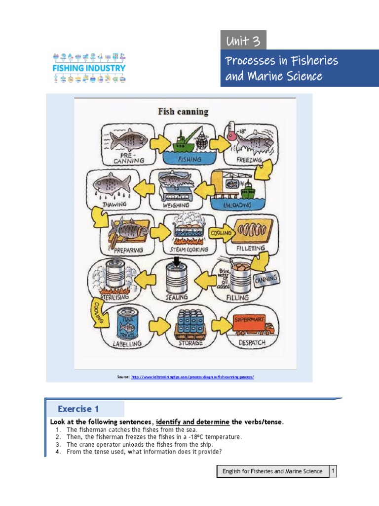 English For Fisheries and Marine Science Unit 3 PDF Verb