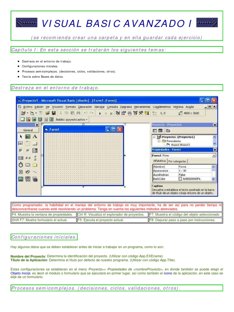 Visual Basic Avanzado: Fundamentos y Prácticas | PDF | Bases de datos ...