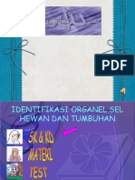 Organel Sel Tumbuhan Dan Hewan1