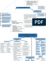 Mapa Conceptual