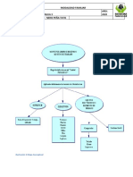 Neris - Peña - Mapa Conceptual