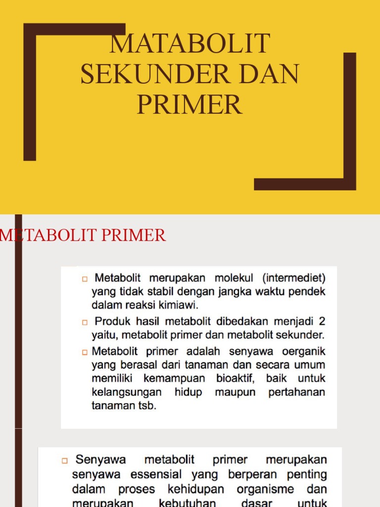 Metabolit Primer Dan Sekunder | PDF