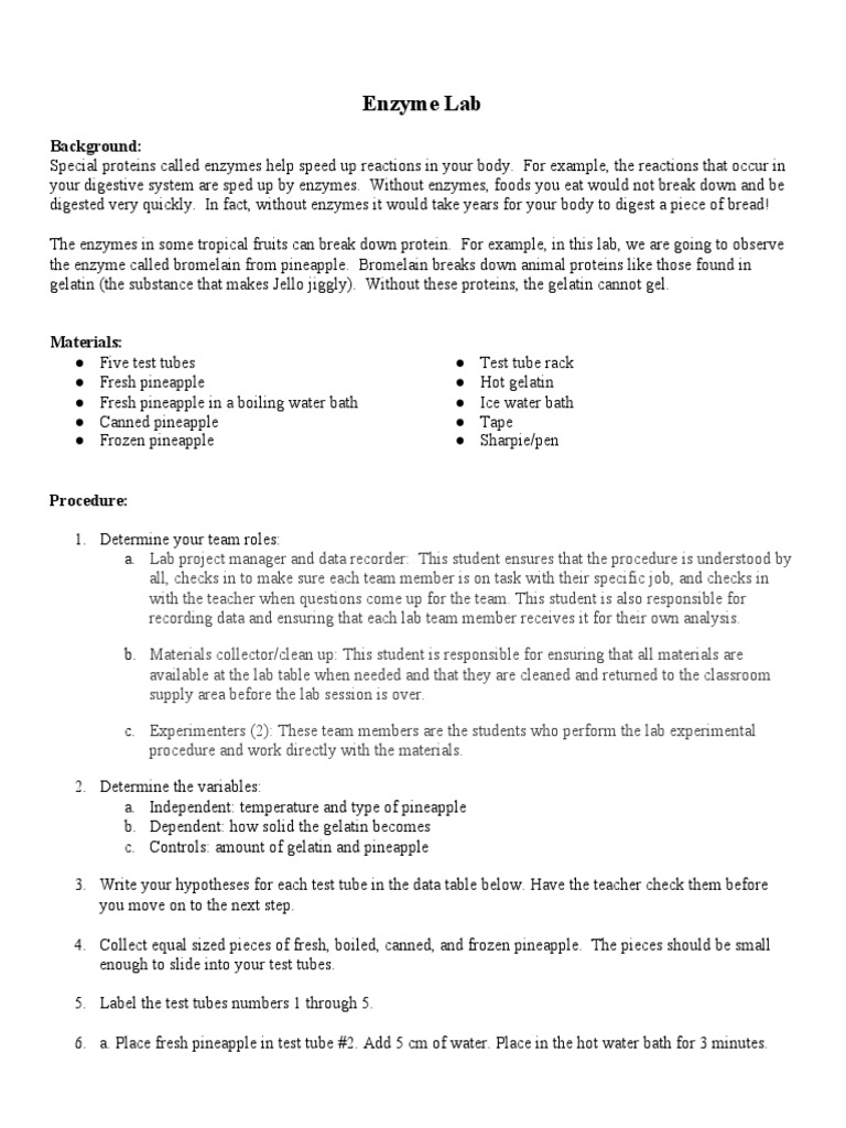 Enzyme Lab Background PDF Gelatin Enzyme