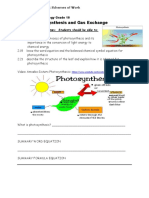 1 Worksheet Photosynthesis and Leaf Structure