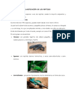 Clasificación de Los Reptiles