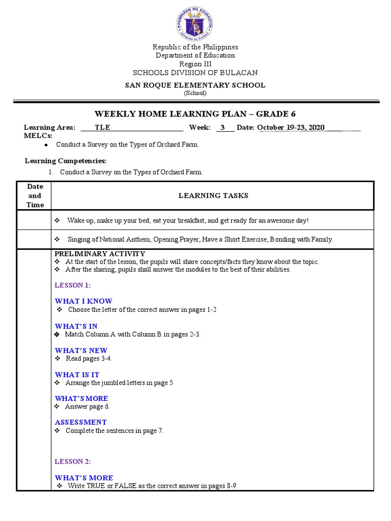 Grade 6 Weekly Learning Plan | PDF | Human Nature | Pedagogy